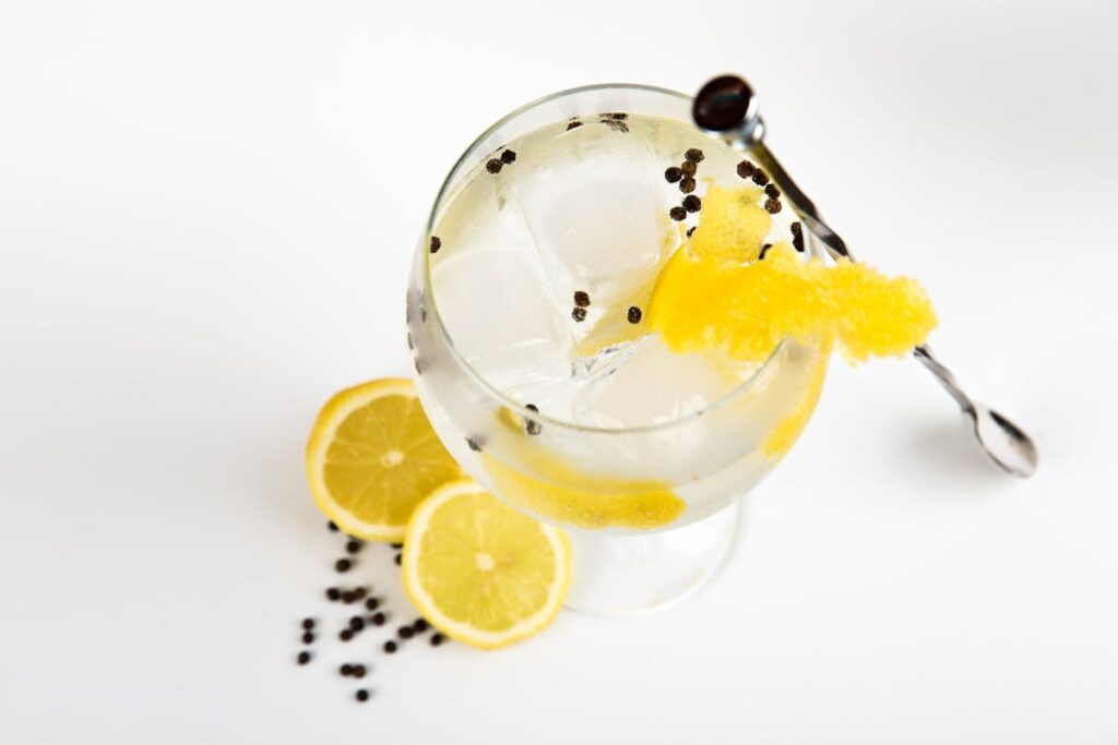 Gin Tónico